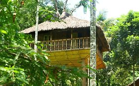 Kalidasa Tree House And Villa,Wayanad